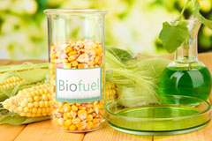 Burgess Hill biofuel availability